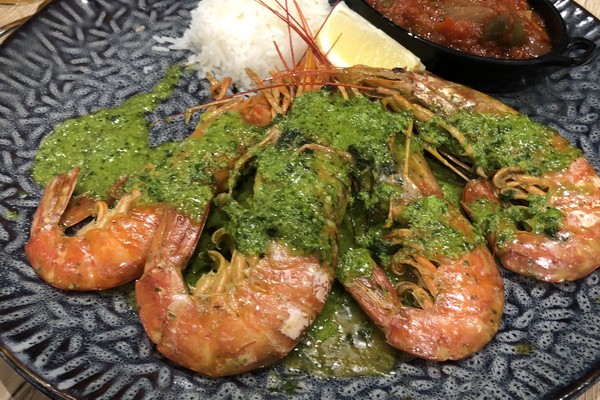 GAMBAS1